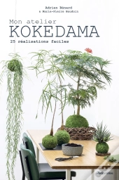 Mon Atelier Kokedama ; 25 Réalisations Faciles