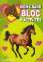 Mon Bloc D'Activites Sophie Thalmann - Preview