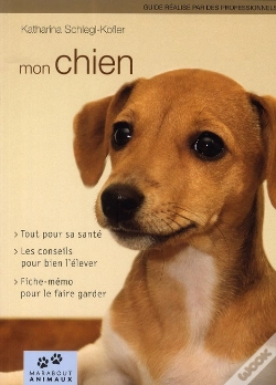 Capa do artigo Mon Chien