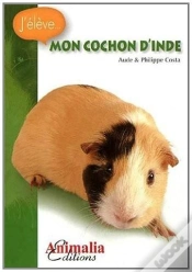 Capa do artigo Mon Cochon D