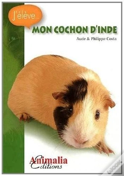 Capa do artigo Mon Cochon D'Inde
