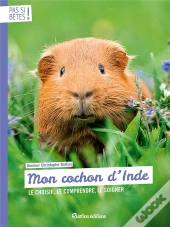 Mon Cochon D'Inde