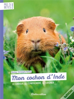 Capa do artigo Mon Cochon D'Inde