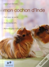 Mon Cochon D'Inde