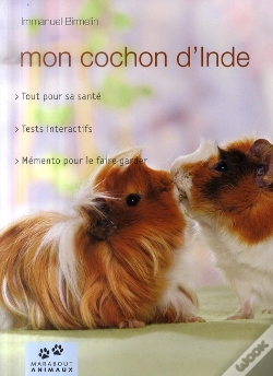 Capa do artigo Mon Cochon D'Inde