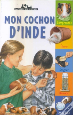 Capa do artigo Mon Cochon D'Inde