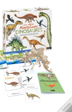 Capa do artigo Mon Coffret Montessori Des Dinosaures