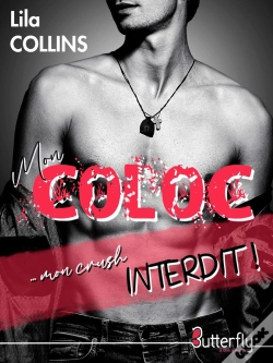 Capa do artigo Mon Coloc... Mon Crush Interdit !