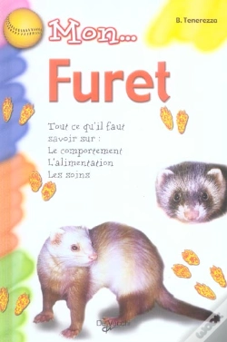 Capa do artigo Mon Furet