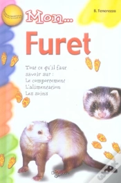 Capa do artigo Mon Furet
