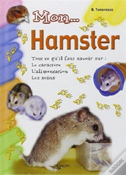 Capa do artigo Mon... Hamster