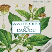 Capa do artigo Mon Herbier D