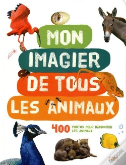 Capa do artigo Mon Imagier De Tous Les Animaux
