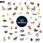 Mon Imagier Des Animaux - Preview