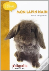 Capa do artigo Mon Lapin Nain
