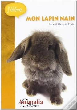 Capa do artigo Mon Lapin Nain