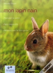 Capa do artigo Mon Lapin Nain