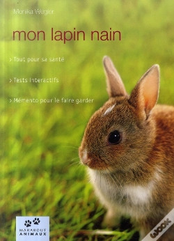 Capa do artigo Mon Lapin Nain