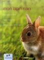 Mon Lapin Nain - Preview
