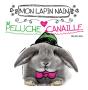 Mon Lapin Nain, Peluche Ou Canaille ? - Preview