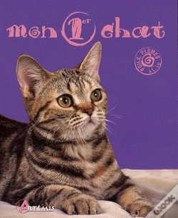 Capa do artigo Mon Premier Chat