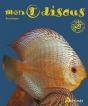Mon Premier Discus - Preview