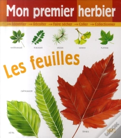 Capa do artigo Mon Premier Herbier  ; Les Feuilles