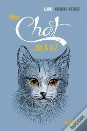 Capa do artigo Monchat...De A A Z