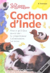 Mon...Cochon D'Inde