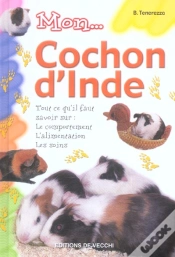 Capa do artigo Mon...Cochon D