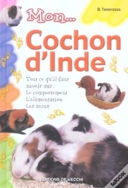 Capa do artigo Mon...Cochon D'Inde