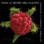 Monde Etrange Incroyable Plant - Preview
