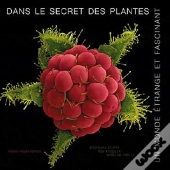 Monde Etrange Incroyable Plant