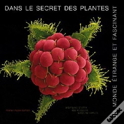 Capa do artigo Monde Etrange Incroyable Plant