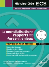 Mondialisation : Rapports De Force Et Enjeux (La)
