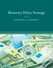 Monetary Policy Strategy