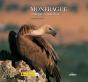 Monfragüe. Parque Nacional. - Preview
