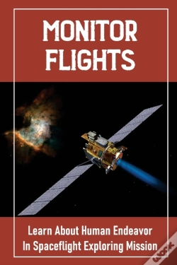 Capa do artigo Monitor Flights