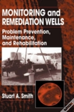 Capa do artigo Monitoring And Remediation Wells