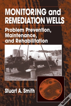 Capa do artigo Monitoring And Remediation Wells