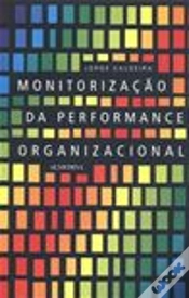 Capa do artigo Monitorização da Performance Organizacional
