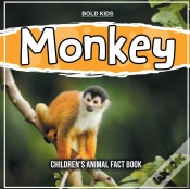 Capa do artigo Monkey