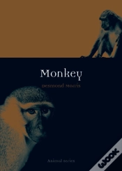 Capa do artigo Monkey