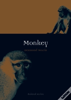 Capa do artigo Monkey
