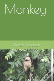 Capa do artigo Monkey
