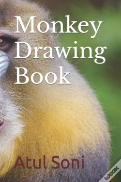 Capa do artigo Monkey Drawing Book