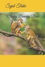 Monkey Drawing Book - Preview