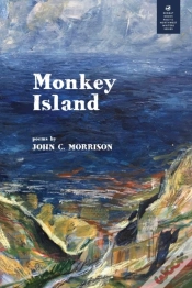 Capa do artigo Monkey Island