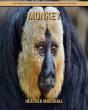 Monkey - Preview