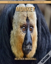 Capa do artigo Monkey